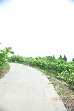路