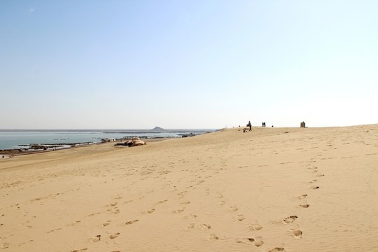 銀川沙湖風(fēng)光