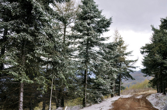 高山公路雪景風(fēng)光攝影