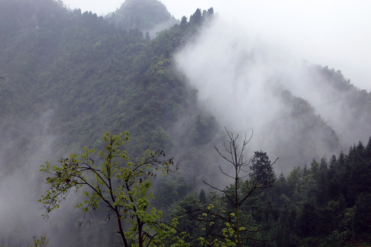 山區(qū)自然風(fēng)光