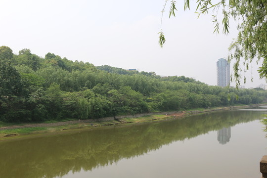 河邊