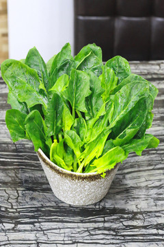 菠菜