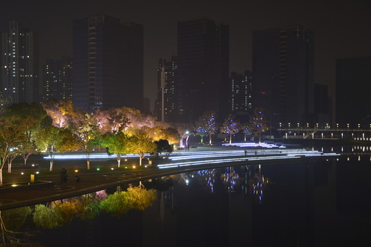 公園夜景
