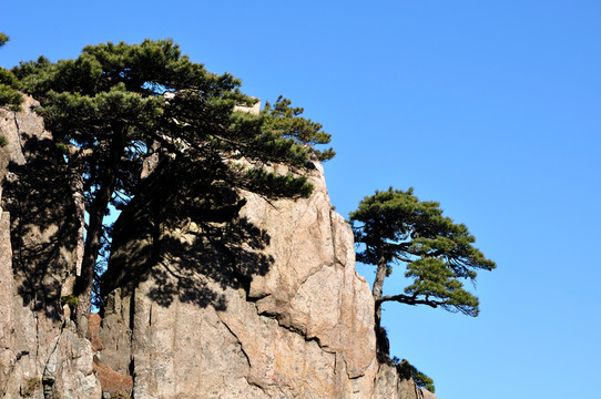 黃山風光