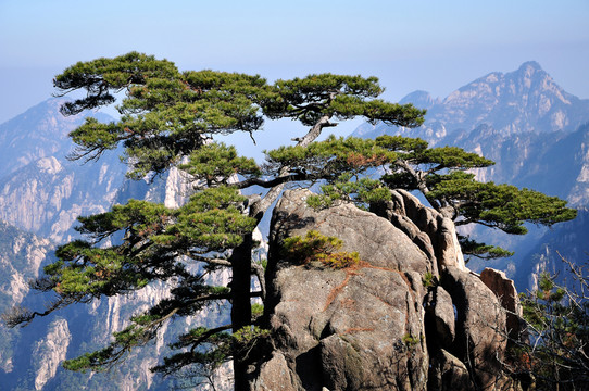 黃山自然風(fēng)光