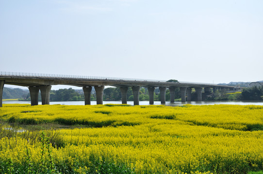 新安江十里畫(huà)廊風(fēng)光