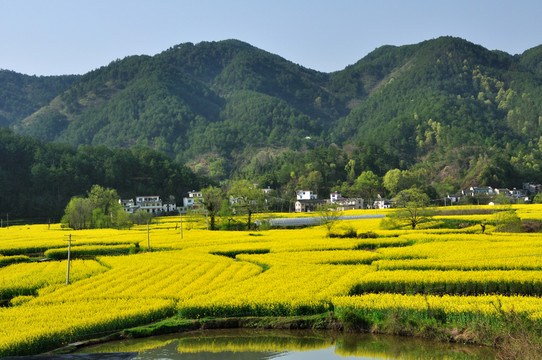新安江十里畫(huà)廊風(fēng)光