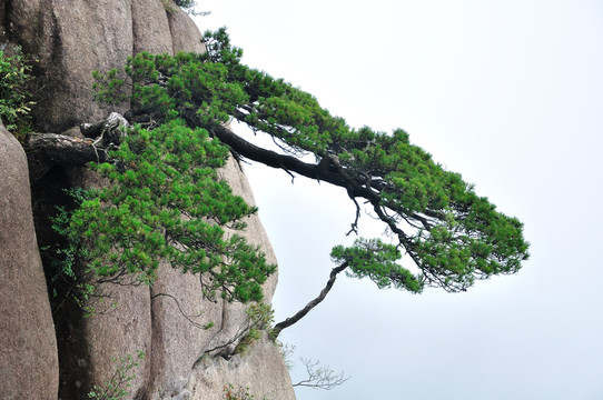 江西三清山風(fēng)光