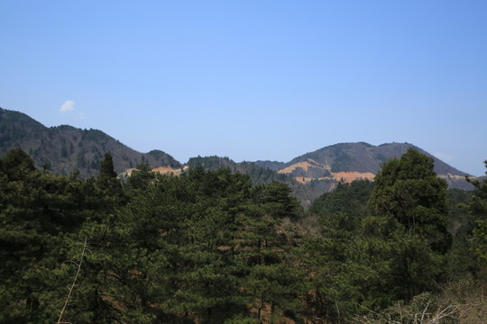 太平山風(fēng)光