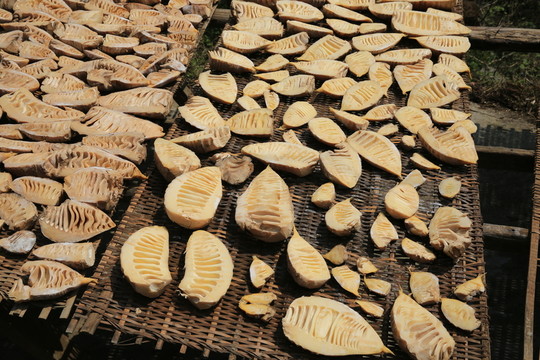 筍干 曬筍 竹筍 經(jīng)濟(jì) 農(nóng)村