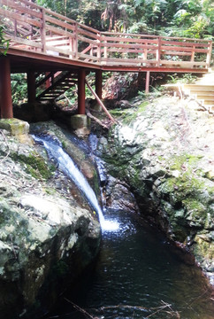 山間清泉