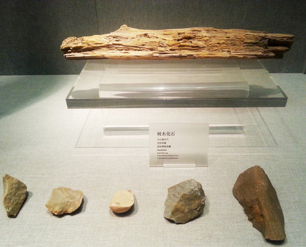 石器 考古 文物 博物館