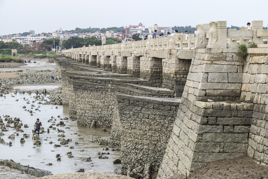 洛陽橋