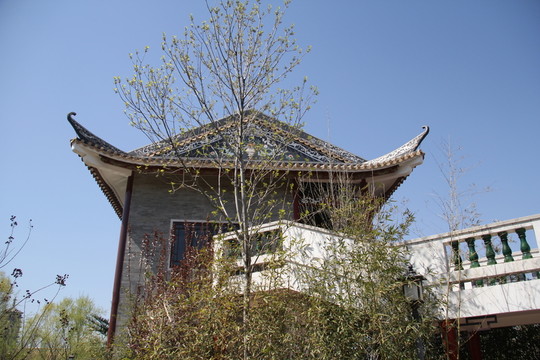 園博園建筑