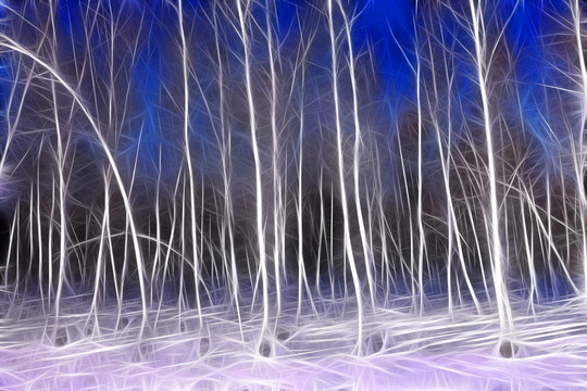 電腦畫 雪原白樺林