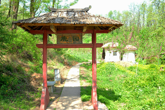 仰天山上的鹿園