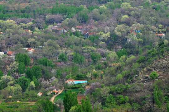 山村