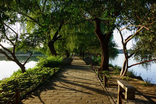 北京頤和園樹(shù)林草坪林間小道