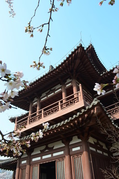 櫻花閣樓