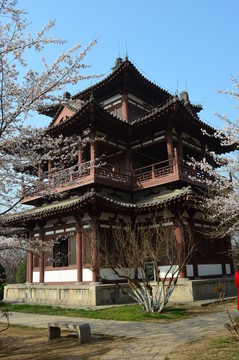 青龍寺