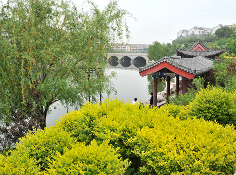 公園