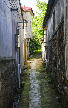 楊灣古村