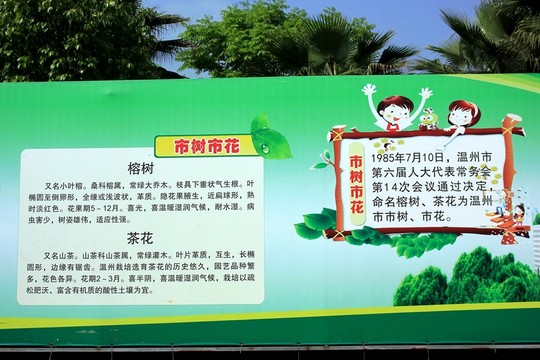 溫州甌海新區(qū)風光