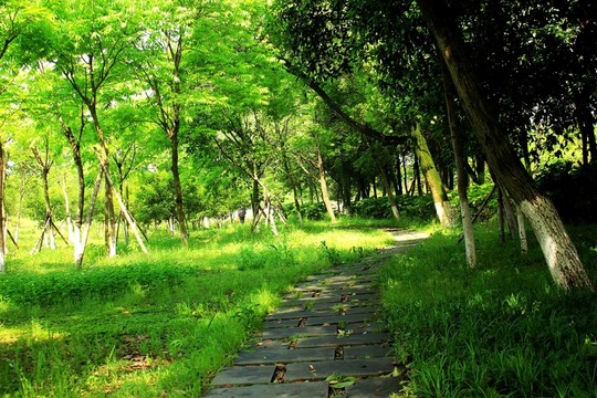 溫州甌海新區(qū)風(fēng)光