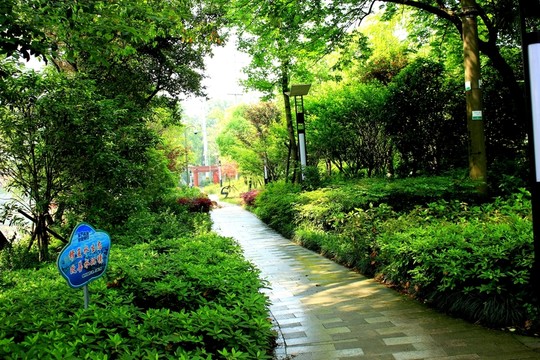溫州甌海新區(qū)風(fēng)光