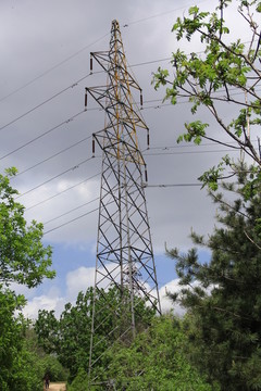 電線桿
