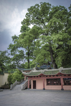 南華寺