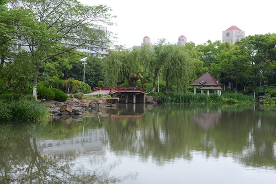小橋流水