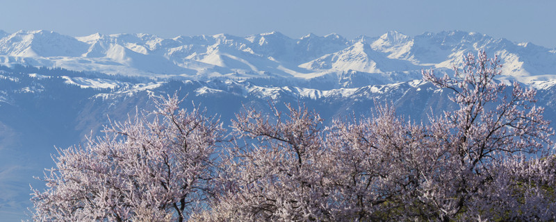 雪山