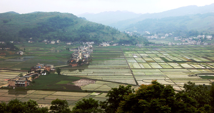 春天的田野