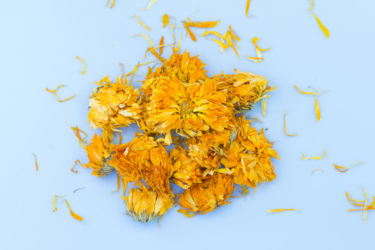 金盞花