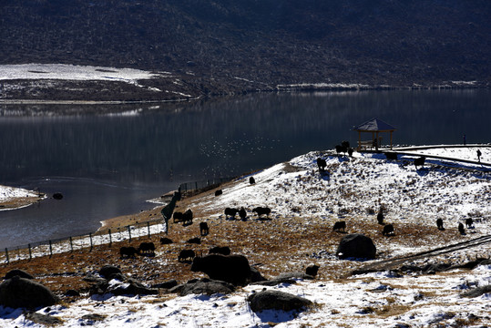 年寶玉則雪山風光