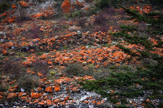 紅石灘