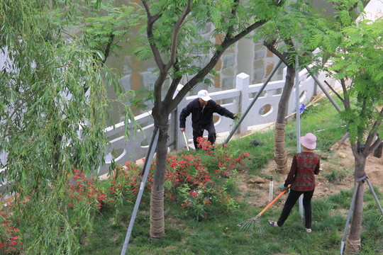 小區(qū)物業(yè)