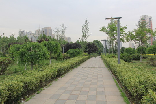 公園道路