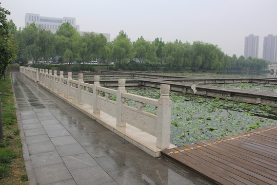 公園欄桿