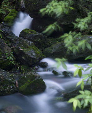 青苔流水