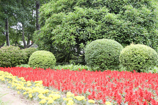 園林 花卉