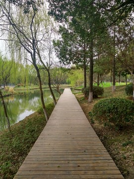 公園小道