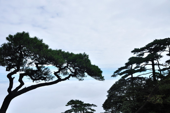 江西三清山風光