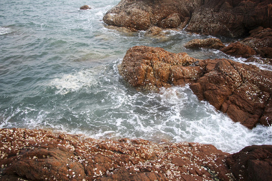 礁石 海浪