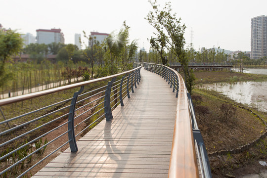 公園棧道