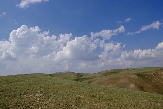 高山牧場(chǎng)