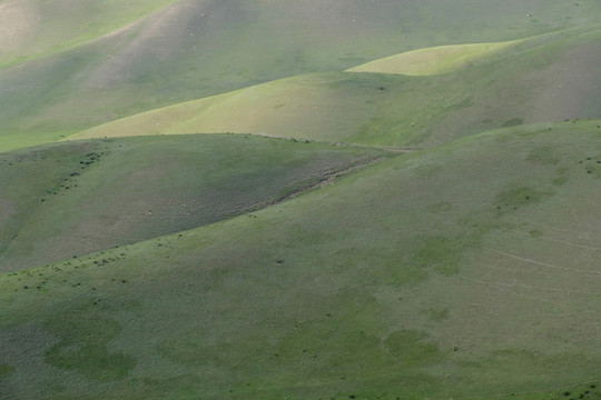 高山牧場