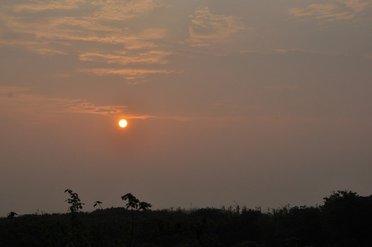 夕陽(yáng)