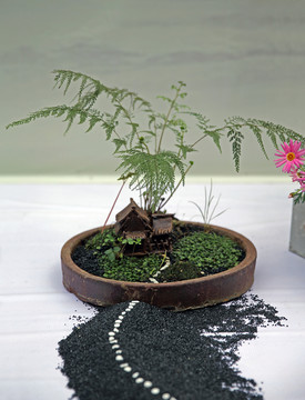 藝術(shù)盆栽